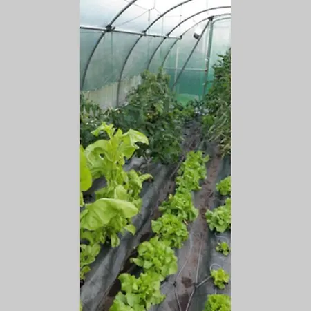 Nyaraló Cova Do Raposo Lagarteira