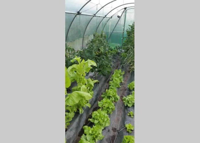 Vakantiehuis Cova Do Raposo Lagarteira